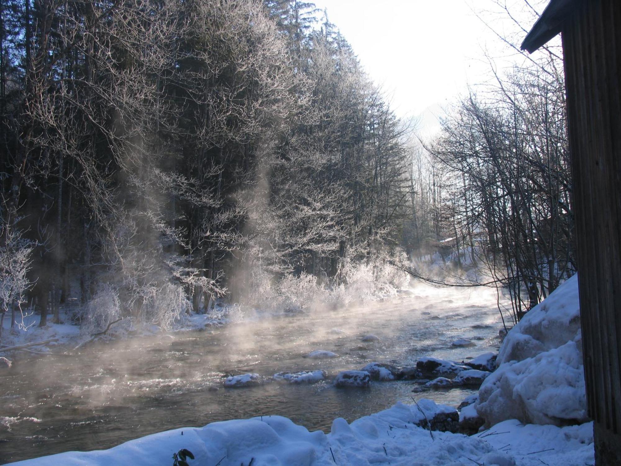 Gasthof Staud'Nwirt Bad Aussee Extérieur photo