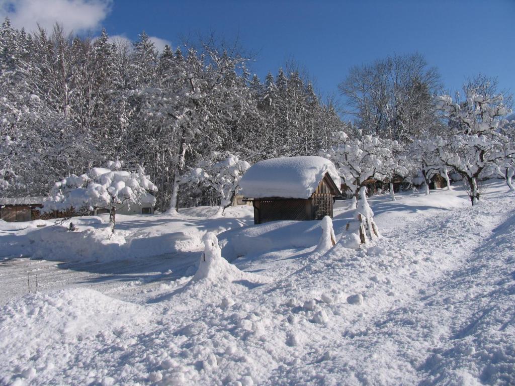 Gasthof Staud'Nwirt Bad Aussee Extérieur photo